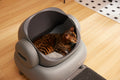 Litter Box