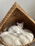 Cat bed