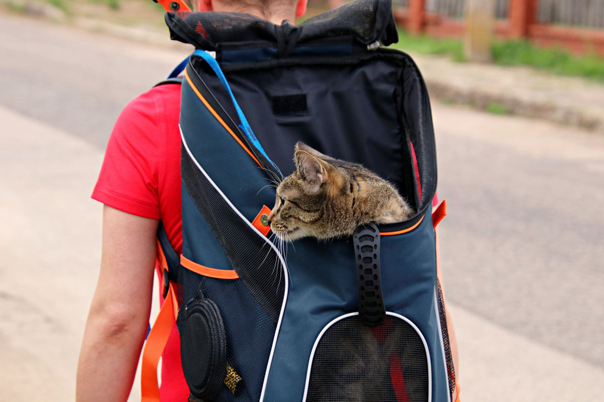 Pet Carrier